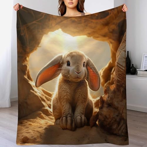 LLLBBB Animal Kaninchen Decke, Flannel Tagesdecke Couchdecke Sesseldecke Wohndecke Vier Jahreszeiten Kuscheldecke Sofadecke 100×130cm