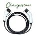 CHARGISSIMO Cavo di ricarica EV per veicolo elettrico e ibrido ricaricabile, 5 metri, tipo 2 a tipo 2 IEC 62196-2 (32A Trifase 22KW)