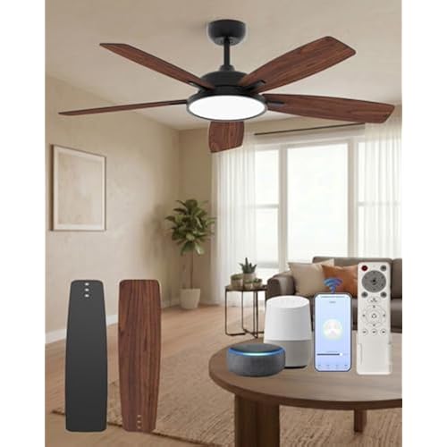 Roomratv Smart Ceiling Fan Compatible with App/Alexa/Google home,Black