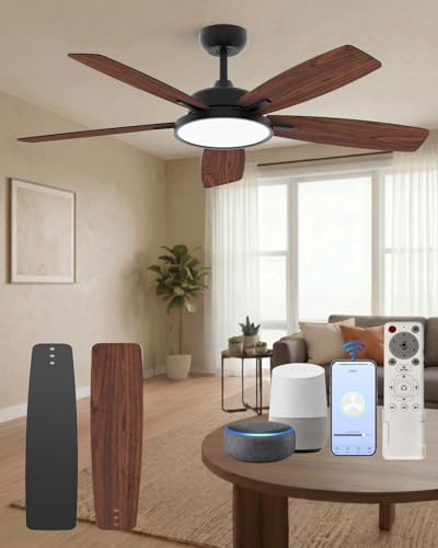 Roomratv 52 Smart Ceiling Fan with Light