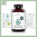 MAISON NATURELLE® | Bio Spirulina & Chlorella Mix (500 Stück) - Hochdosiert mit 2400mg Bio-Spirulina Alge & 2400mg Bio Chlorella Alge je Tagesdosis