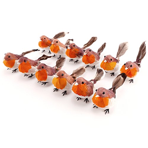 Surepromise 12 x Rami Robin Uccello Robin Birds
