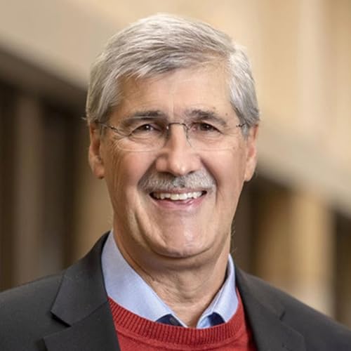 Circles and Pollination: A New Way to Engage Conflict &mdash; John Paul Lederach