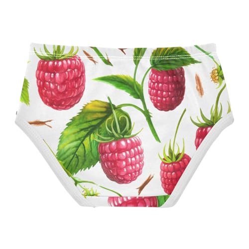 Toddler Underwear Floral 2t Cotton Little Girl Panties Pattern Briefs Underpants Red Raspberry Fruits Green White2