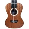 Lanikai LU21-C 4 String Ukulele,Concert Ukulele, with Aquila String and Pro Set-up