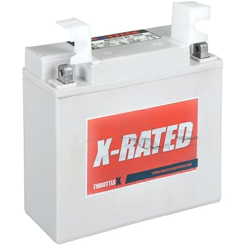 ThrottleX Batteries - AD51913-BS - AGM Replacement Power Sport Battery Cover