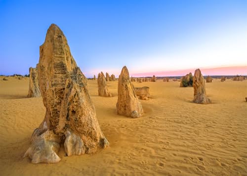 CORFOTO Tissu 2.7x1.8m Formations Calcaire Désert Pinnacles Fond Pinnacles Parc National Nambung au Coucher du Soleil Arrière-Plan Photographique pour Fête à Thème Outback Australien Accessoires