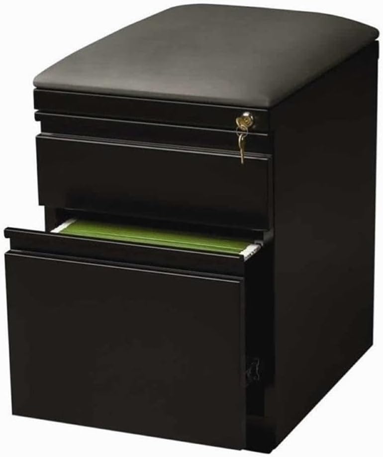 BOWERY HILL 2-Drawer Metal Mobile Filing Cabinet, 23.75 in H, Black Finish, Includes Seat Cushion, Hidden Casters, Letter-Size Hanging File Storage, Commercial Office Furniture