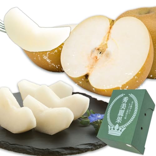秋月梨 3kg 贈答用化粧箱(5〜9玉) 日本フルーツ株式会社 [9月上旬-9月末頃出荷]熊本県 長洲町 なし ナシ 和梨 果物 フルーツ デザート ギフト ご贈答
