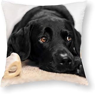 QMS CONTRACTING LIMITED Throw Pillow Cover Black Labrador Pillow Cases for Home Decor Design Cushion Case for Sofa Bedroom Car 18 x 18 Inch 45 x 45 cm