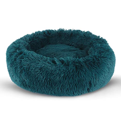 BVAGSS Small Dog Bed Cat Bed Calming Plush Pet Bed Soft Washable Anti Anxiety Round Donut Cuddler Fluffy Puppy Bed for Puppy & Kitten JA037 (16 inch, Cyan)