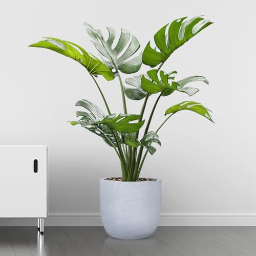 Image of BonKaso 12 inch White Pot - Tall, Durable & Lightweight Polymer Jaguar Round Planter for Indoor & Outdoor Use: Home, Office, Garden & Balcony (Gamla /Gamale)