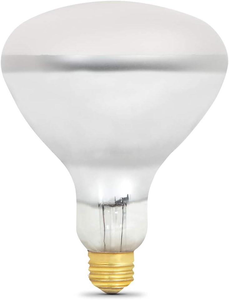 Feit Electric 100R20/S-12 100 Watt 12 Volt Pool/Spa R20 Short Flood Reflector Light Bulb