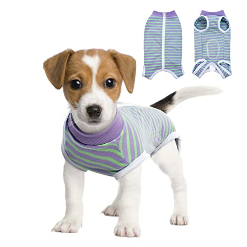 Image of BRKURLEG Small Dog Recovery Suit After Surgery, Abdominal Wound Protection, Back Zipper Spay Recovery Suit for Dogs & Cats, Soft Anti-Licking Puppy Onesie, Cone Alternative, Purple Stripes M