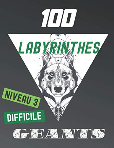 100 Labyrinthes Géants Niveau 3 Difficile: Jeux de Logique et de Patience pour Adoléscents qui s'En