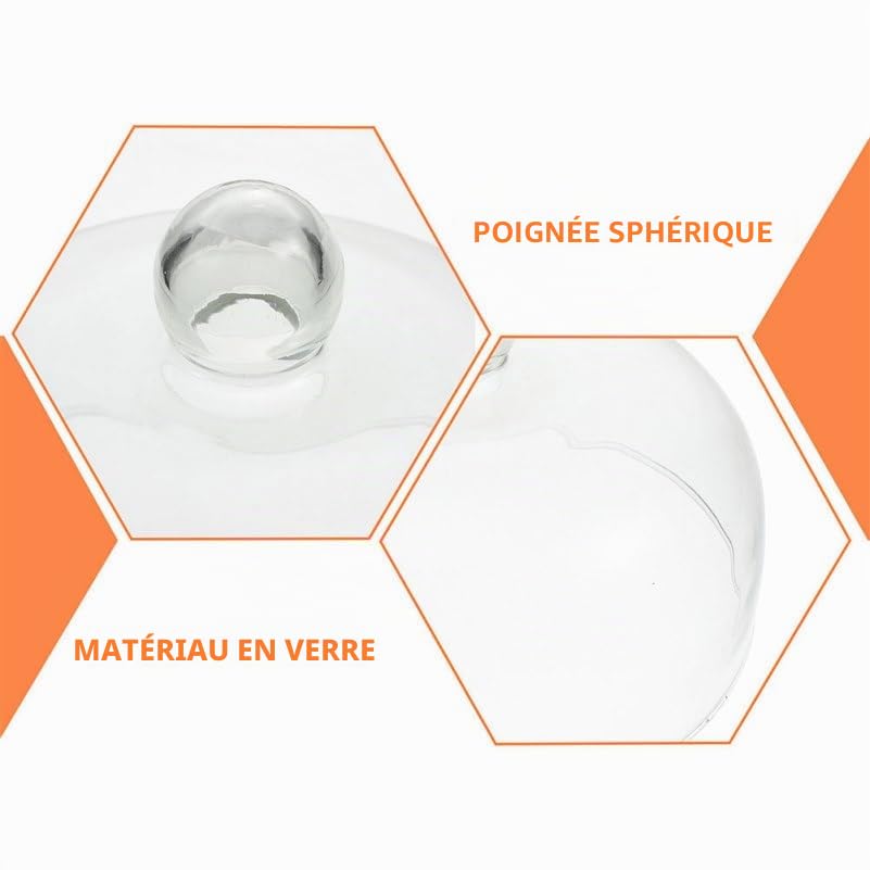 Mikikit Grande Cloche à Gâteau en Verre Transparent 16 cm - Dôme de Protection pour Pâtisseries, Fromages et Desserts - Couvercle Alimentaire avec Poignée Ronde - Nettoyage Facile