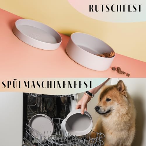 ne&no® Silikon Hundenapf 1200 ml mit Deckel für kleine und mittelgroße Hunde | im Kühlschrank luftdicht verschlossen | Futternapf Hund rutschfest | Fressnapf Hund Set