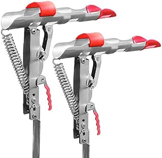 Automatic Spring Fishing Rod Holder 2 Pack - Stainless Steel for Ground Support