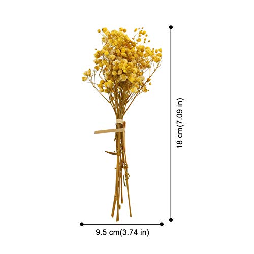 Garneck 3 Bunches Dried Flowers Babies Breath Flowers Natural Real Gypsophila Plants Bouquets Lasting Floral Décor For Diy Flower Arrangement Home Fragrance (Yellow) #TOP3
