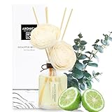 Aronica Twin Sola Diffuser 160ml_Eucalyptus and Bergamot Essential Oil Flower Diffuser, Non Toxic Reed Diffusers, Beach Themed Home Room Decor, Natural Gift for Men, Beach Scent