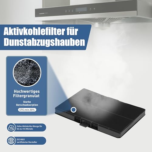 Lot de 2 filtres à charbon actif pour hotte aspirante Bosch DHZ5346 / DHZ5345 / 00705432/11026771 Siemens LZ53451 / LZ53450 et Neff Z5102X1 / Z5102X5 - 317 x 215 x environ 22 mm – vue 3