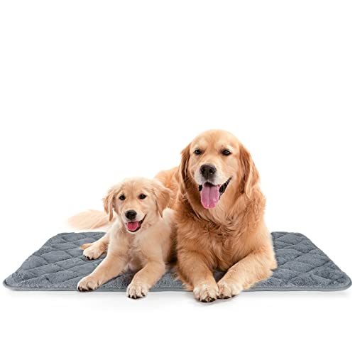 3dRose Gartenflagge „I Love My Brown Dackel“ – 45x68 Cm, Aus Polyester, Einseitig Bedruckt