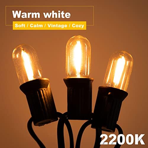 Century Light E12 Small Fridge Lightning Bulbs,1W Low Watt Equivalent 10 Watt Halogen Light, 2200K Vintage Night Light Bulbs, Warmwhite Ultra Warm Glow Filament Mini Salt Lamps,Non Dimmable,Pack of 6