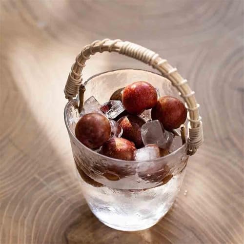 Cubo de champán portátil de vidrio fino para servir frutas y licores 5
