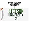 Stetson University Secondary Logo Automotive Car Window Locker Bumper Sticker #1