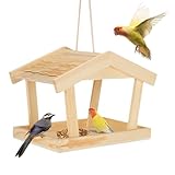 SGZIOO Mangiatoia per Uccelli Sospesa, Mangiatoia per Uccellini da Esterno, Intemperie Cas...