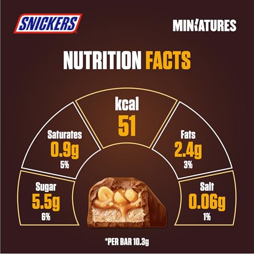 Snickers Peanut Filled Chocolate Miniatures, 170g Pouch