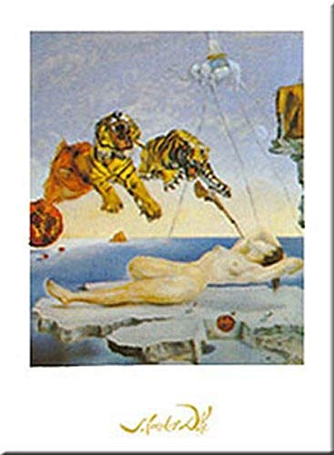 Rave Cause Per Le Vol by Salvador Dali 31 X 24 Art Print Poster