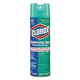 Clorox Disinfectant Spray, 19 Ounce, 1 Each
