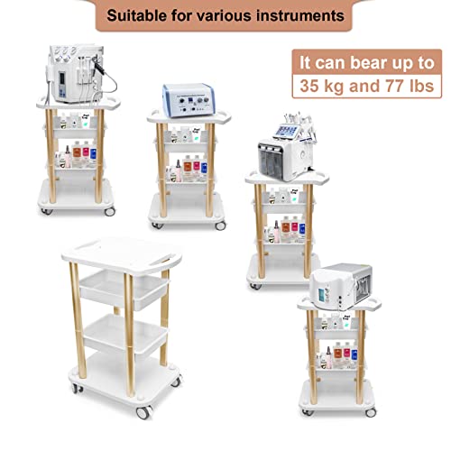 Beauty Salon Furniture Trolley Spa Styling Pedestal Rolling Cart 4 Shelf Abs Aluminum Elitzia Ettro5 #TOP5