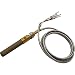 Pentair 071515 Generator Pilot with Clip Replacement MiniMax Pool and Spa Heater