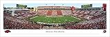 Arkansas Razorbacks Football Unframed Panoramic Poster