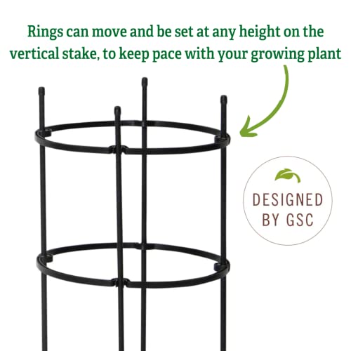 Gardener's Supply Company Titan Peony Support Plant Stakes | Durable Metal Core and Polyethylene Frame for Upright Flower Protection | Medium 30" High (Set of 2)