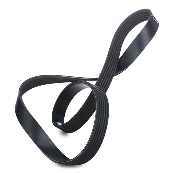 Courroie Trapézoïdale Febi Bilstein 28927 - 6 Nervures - Longueur 1138 Mm - Compatible Renault, VW, Opel