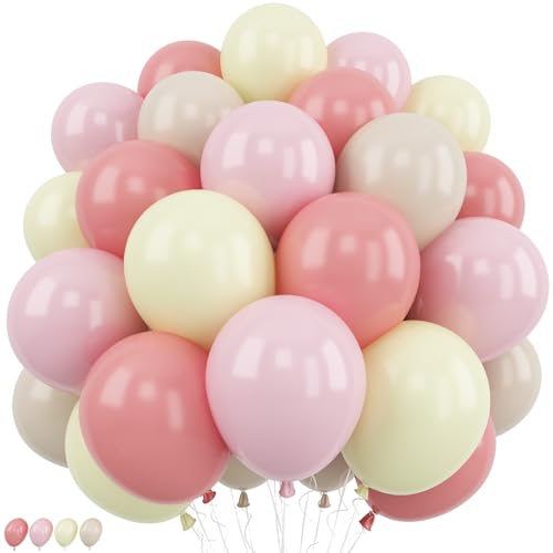 Image of Dusty Pink Balloons Pastel Pink Yellow White Sand Balloons Boho Baby Light Ivory Nude Beige Cream Birthday Party Balloon Set for Kids Girls Cartoon Bee Bear Neutral Baby Shower Bridal Decorations