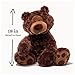 GUND Philbin Teddy Bear Stuffed Animal Plush, Chocolate Brown, 18"