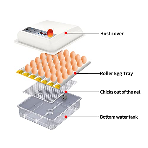 Foto von Eggs Hatching Incubator – Vollautomatischer Inkubator, Temperaturregelung, Feuchtigkeitsanzeige, automatischer Eierwender zum Ausbrüten von Wachteln, Enten, Gänsen, Vögeln, Hühnerei-Inkubator–36 Eier
