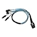 Cable Matters Internal Mini SAS to SATA Cable 1.6 Feet (SFF-8087 to SATA Forward Breakout)