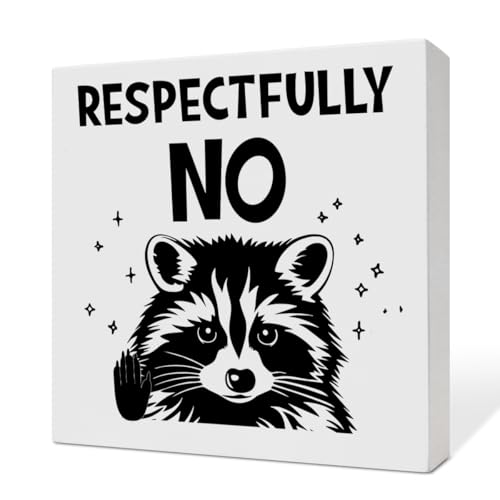 Funny Meme Raccoon Decor Sign for Home Room Office, Humor Sarcastic Meme Desk Decorations, Respectfully No, Funny Sarcastic Gifts for Raccoon Lover Women Men