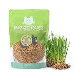 The Cat Ladies Katzengras Samen - Katzen Gras Samen für Balkon oder Wohnung - Katzengrassamen - Fress Gras für die Katze - Cat Grass Seeds