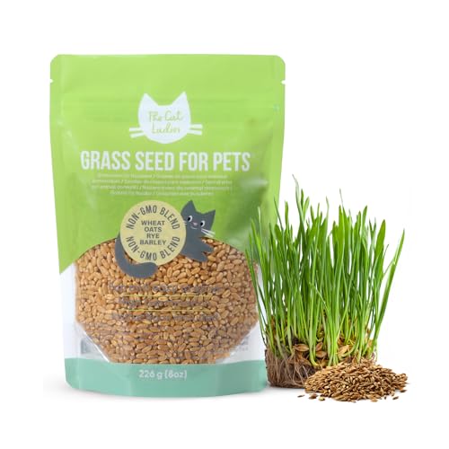 The Cat Ladies Graine Herbe à Chat Fraîche - Mélange de Graines a Semer de 226 g pour Herbe a Chat Plante - Sac pour Semis Graines a Planter pour Chats d'Intérieur