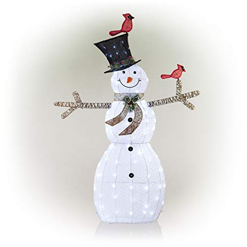 Alpine Corporation Cht892 Mesh Snowman Décor With Red Birds And Cool White Led Lights, Small #TOP1