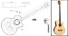 Plan of an Acoustic Bass - Full Scale Print