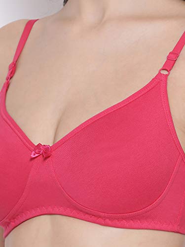Image of Lyra Women's Cotton Non Padded Wire Free T Shirt Bra