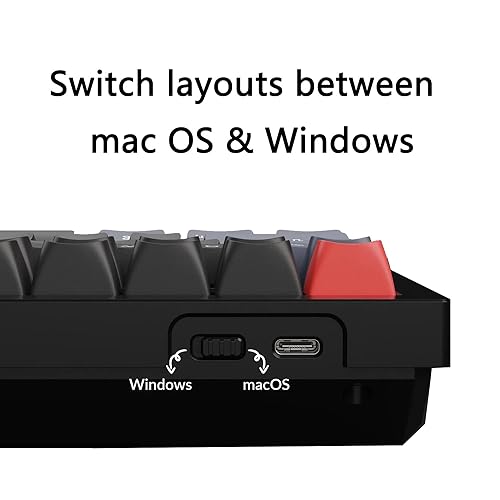 Image of Keychron V6 100% Layout Custom Wired Mechanical Keyboard, 108 Keys RGB Backlight QMK /VIA Programmable Macro, Hot Swappable K Pro Red Switch PBT Keycaps for Mac Windows (Frosted Black)