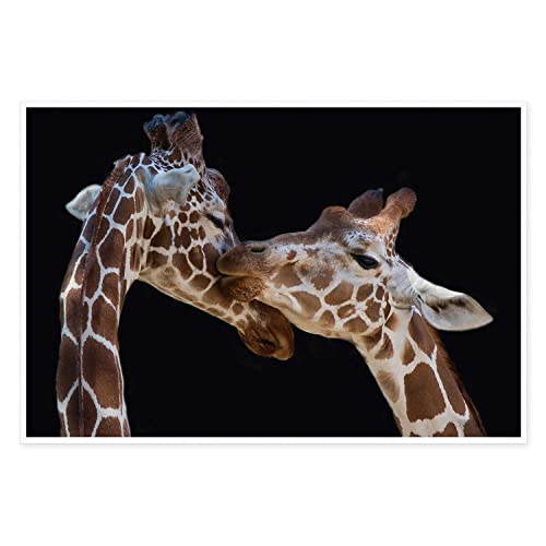 Canvas Prints Wall Art For Home And Office Wall Decoration Giraffe Couple Canvas Artwork Print Painting Picture Modern Animal Modern Abstract Unframe Wall Art For Living Room Bedroom Kitchen 12X18Inch #TOP10